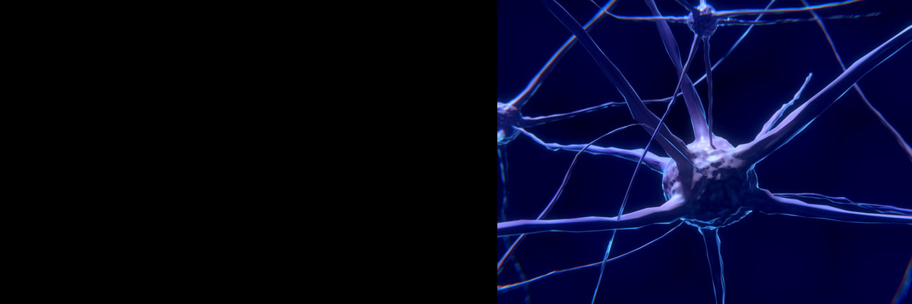 nerve cells 2213009 banner