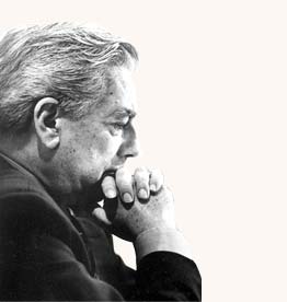 DON MARIO VARGAS LLOSA