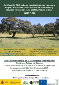 Curso FSC-España