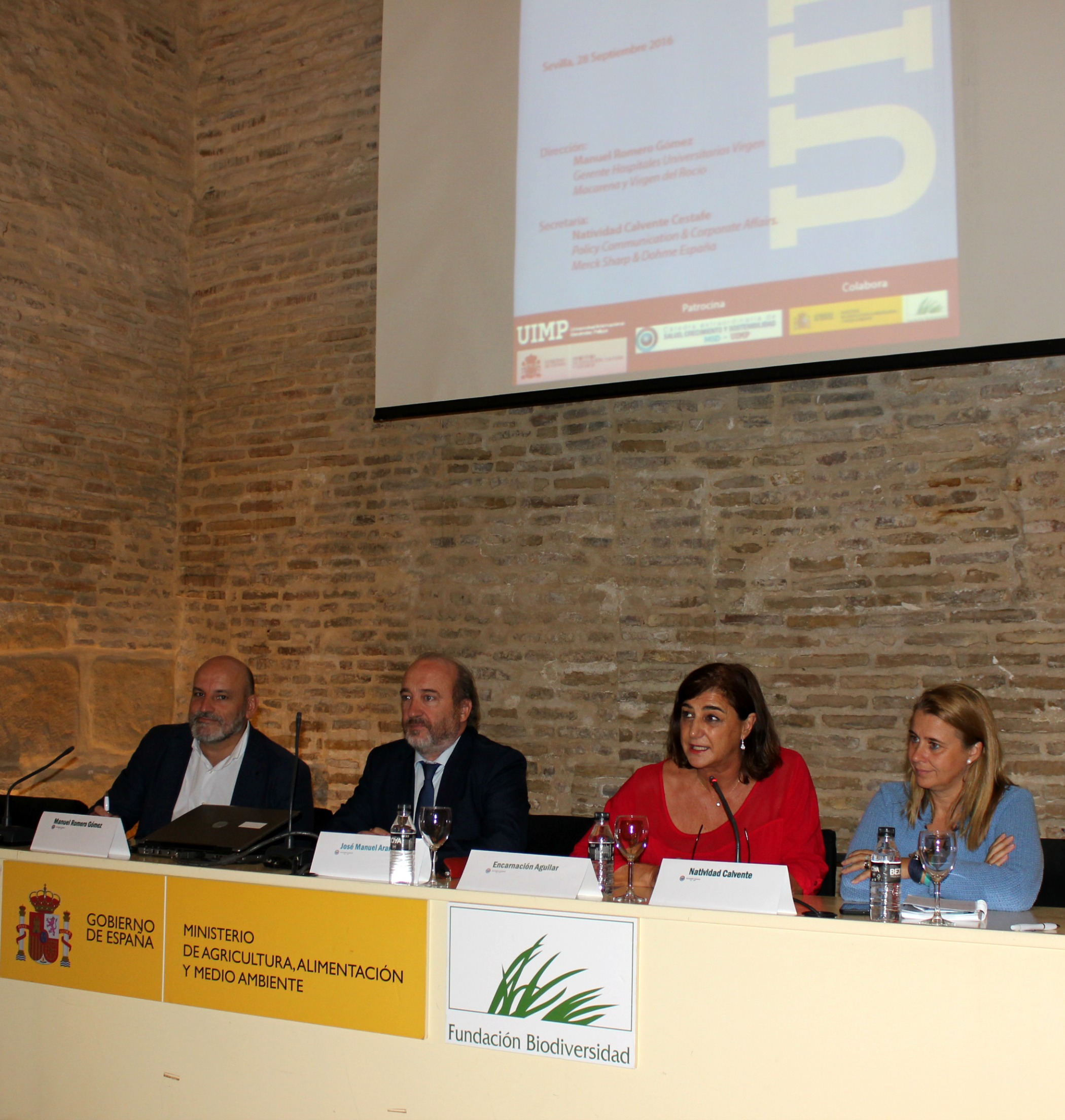 Encuentro UIMP MSD Hepatitis C 02