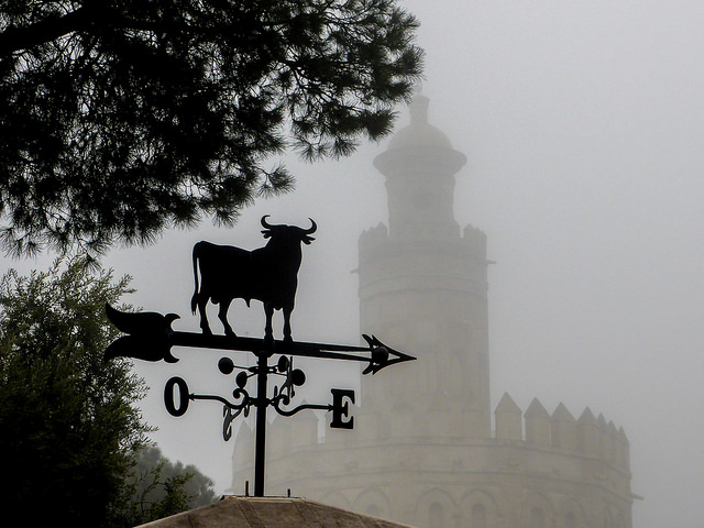 Veleta toros